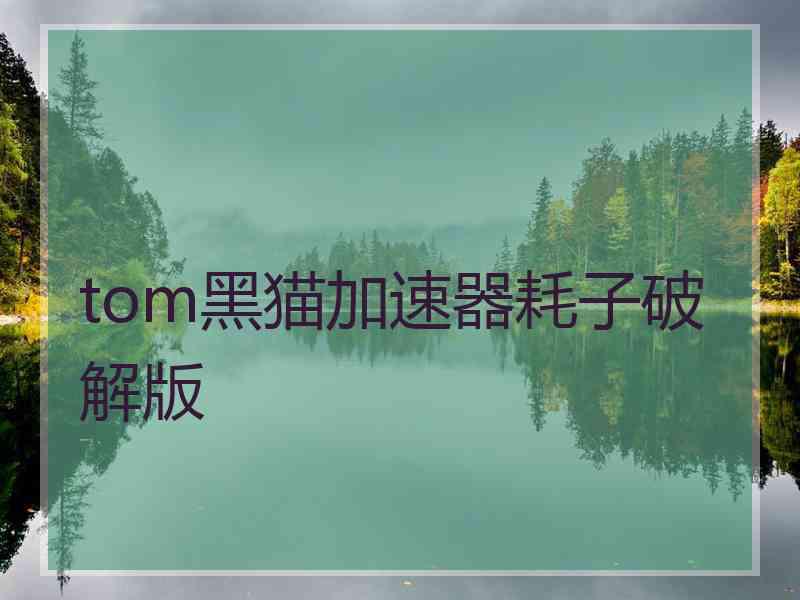 tom黑猫加速器耗子破解版