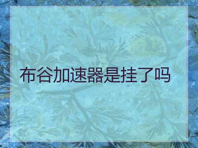 布谷加速器是挂了吗