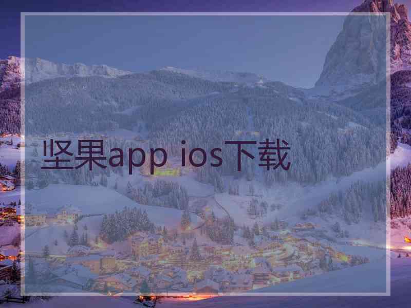 坚果app ios下载