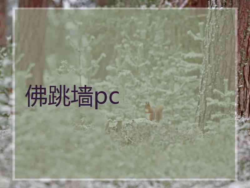 佛跳墙pc