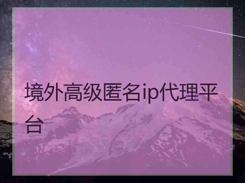 境外高级匿名ip代理平台