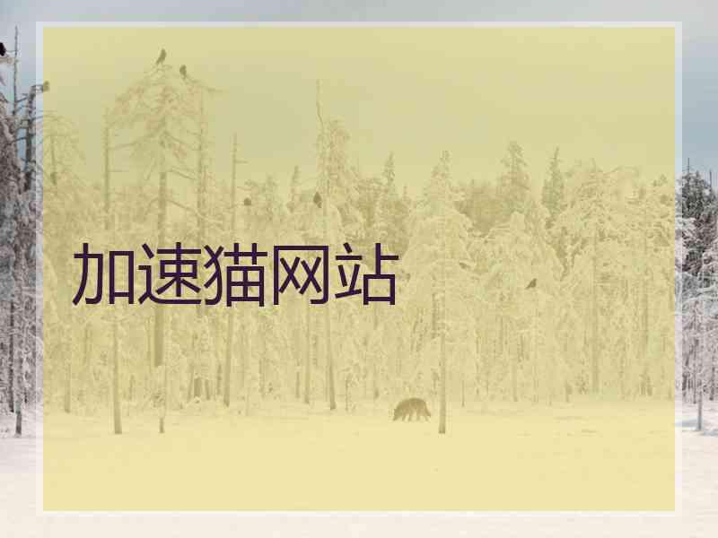 加速猫网站
