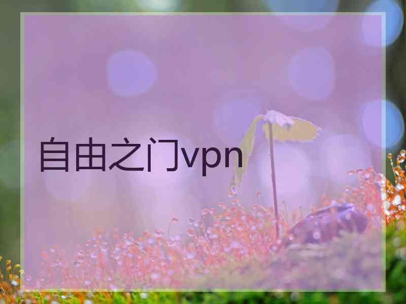 自由之门vpn