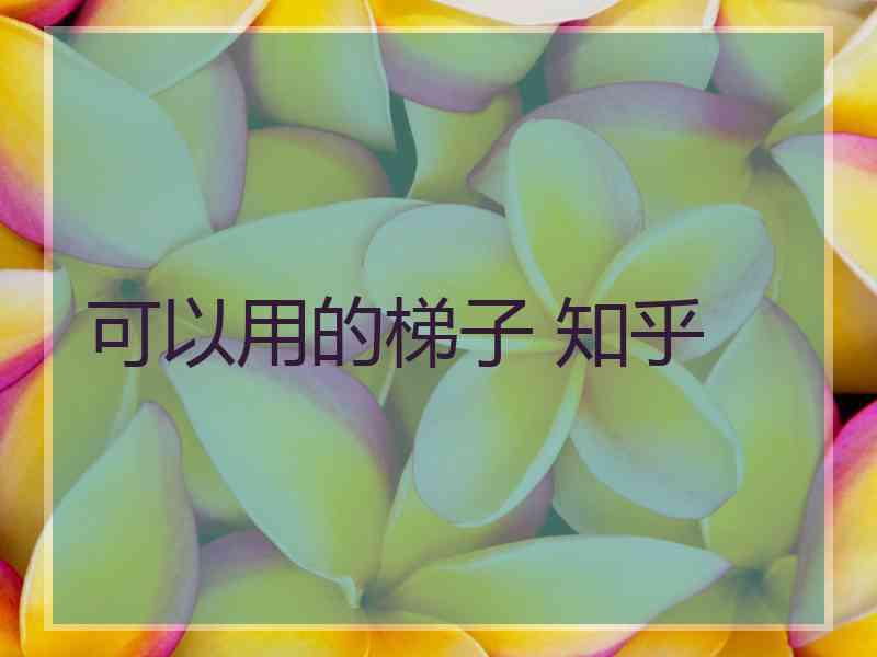 可以用的梯子 知乎
