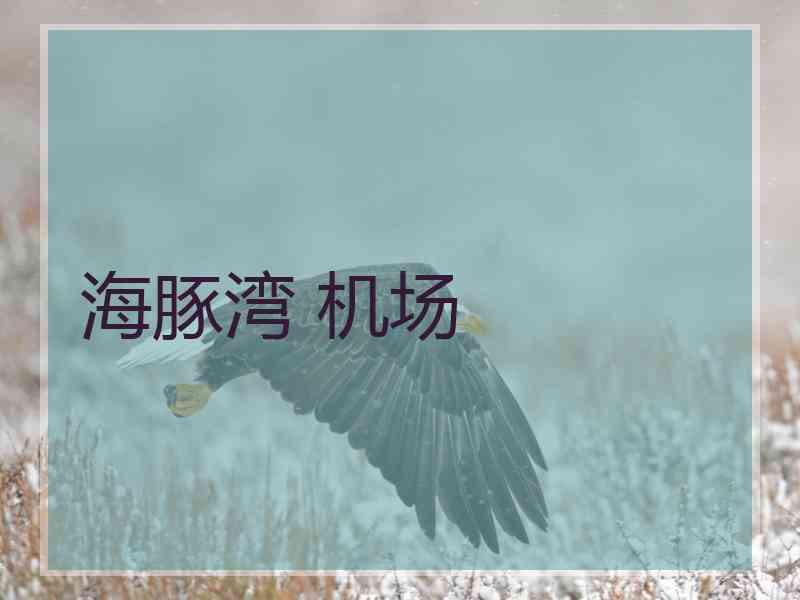 海豚湾 机场