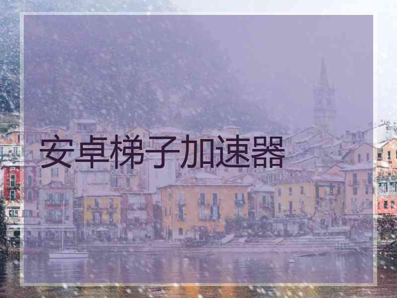 安卓梯子加速器
