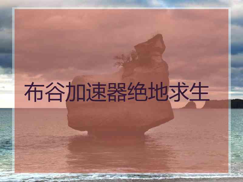 布谷加速器绝地求生