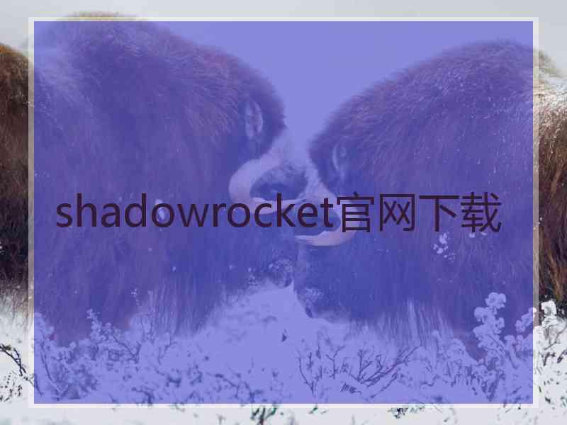 shadowrocket官网下载