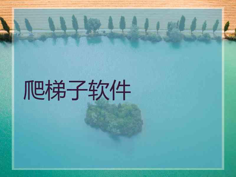 爬梯子软件