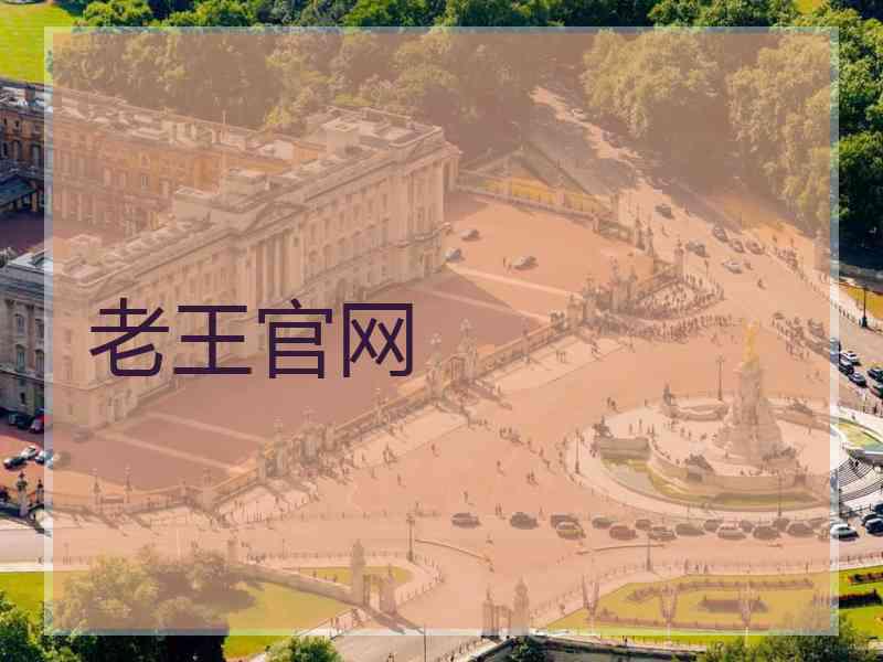 老王官网
