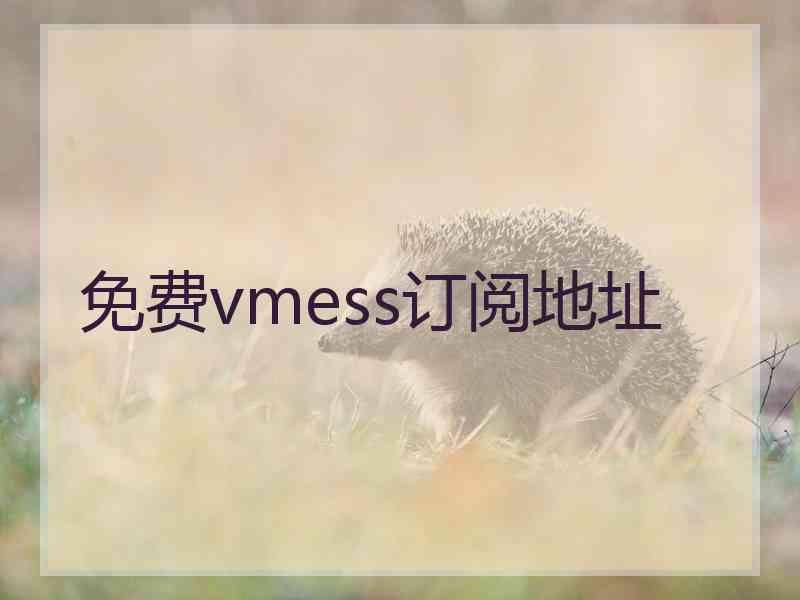 免费vmess订阅地址
