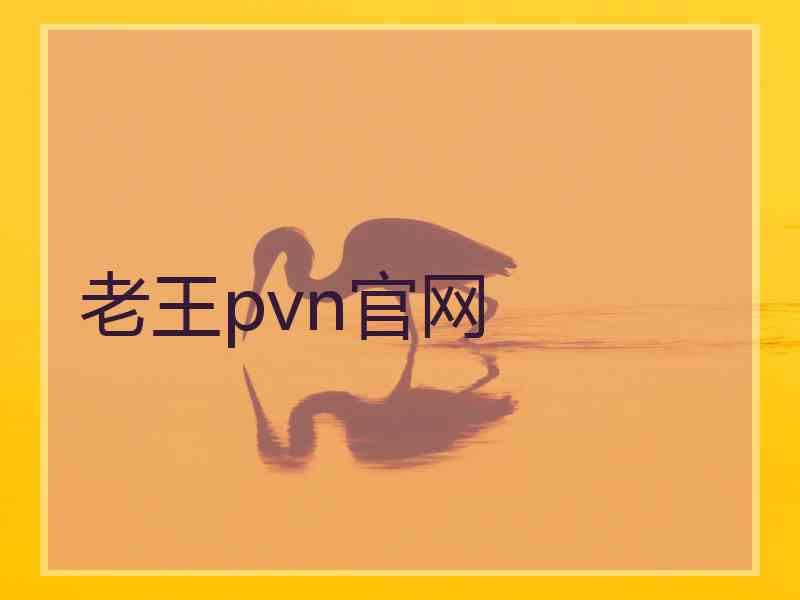 老王pvn官网