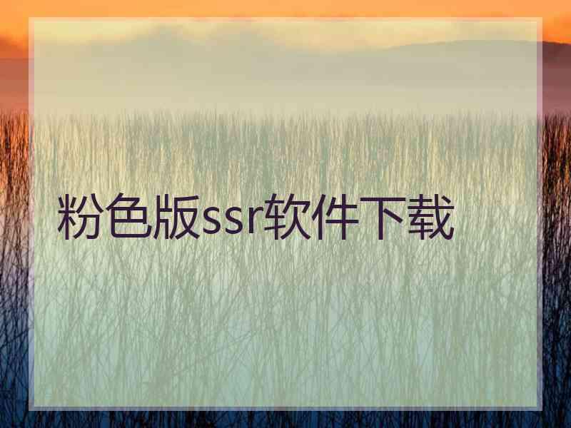 粉色版ssr软件下载