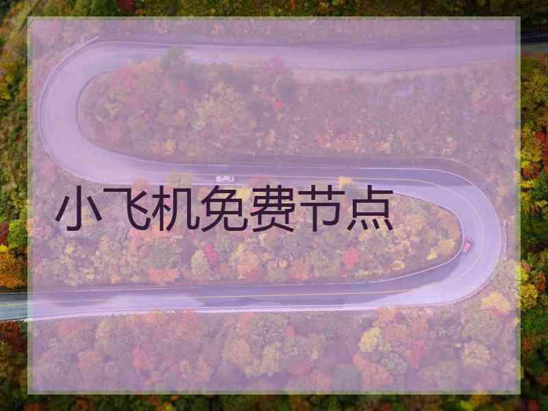 小飞机免费节点