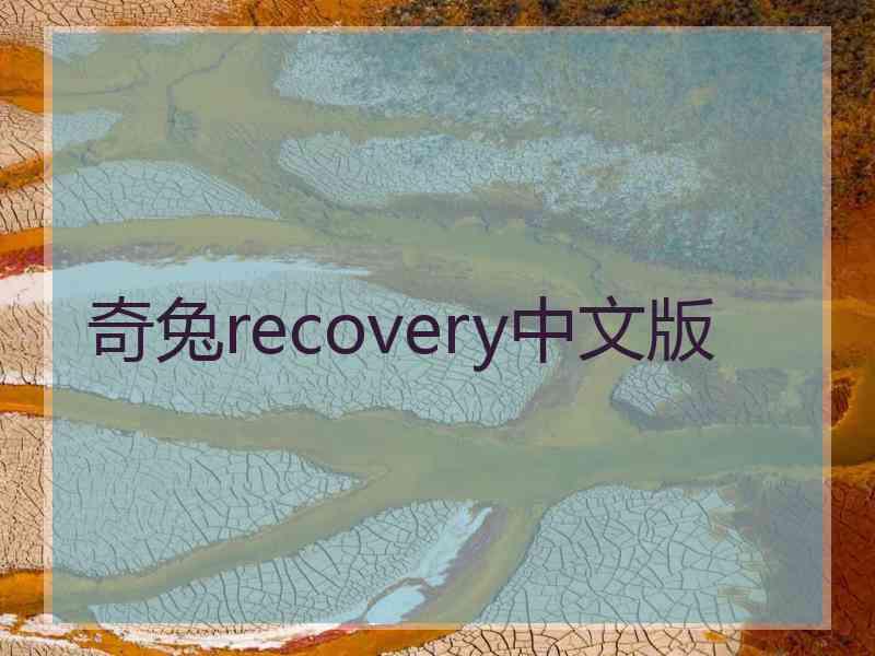 奇兔recovery中文版