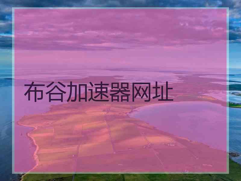 布谷加速器网址