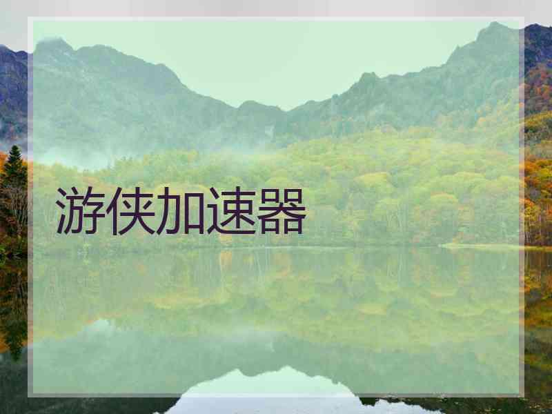 游侠加速器