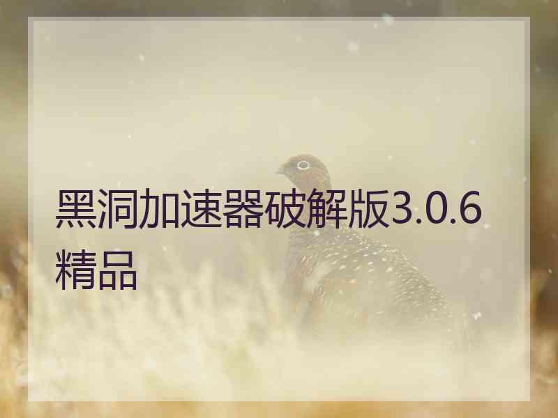 黑洞加速器破解版3.0.6精品