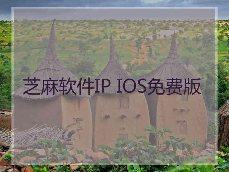 芝麻软件IP IOS免费版