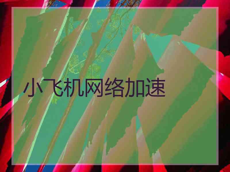 小飞机网络加速
