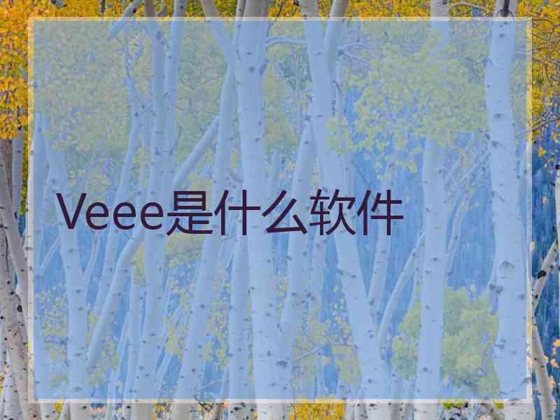 Veee是什么软件