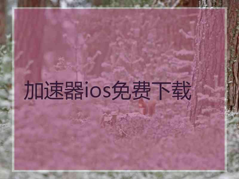 加速器ios免费下载