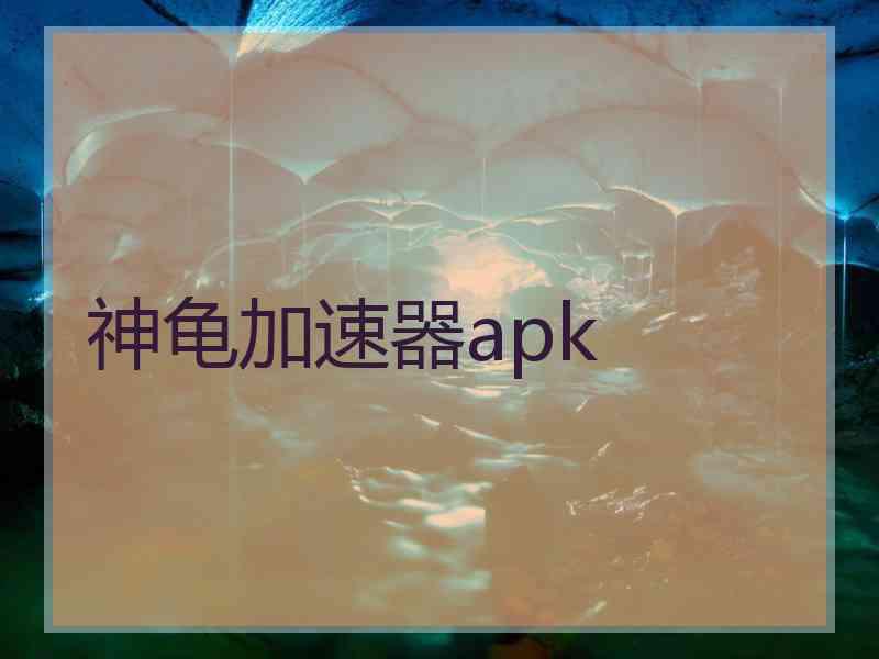 神龟加速器apk