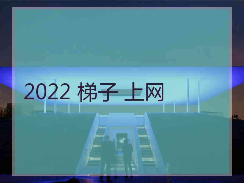 2022 梯子 上网