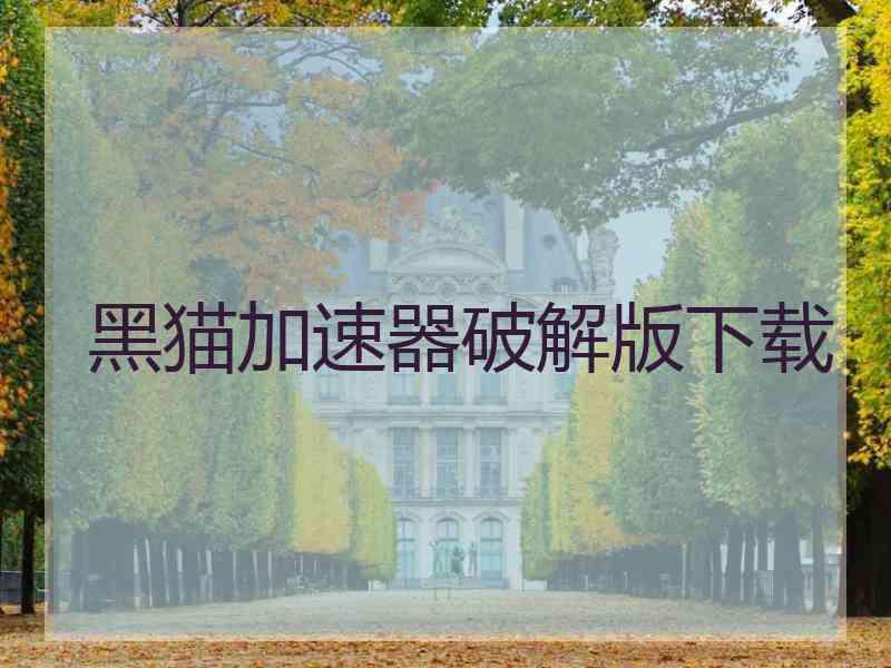 黑猫加速器破解版下载