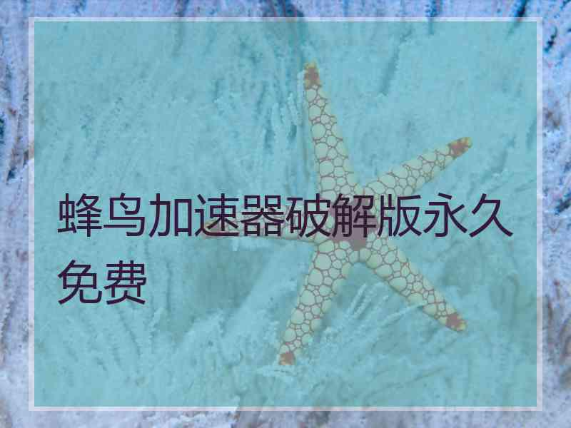 蜂鸟加速器破解版永久免费