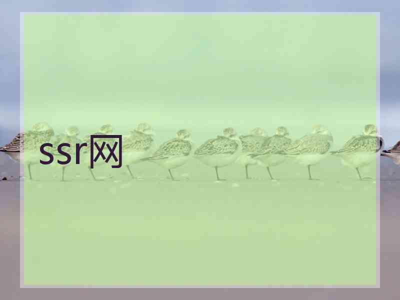 ssr网