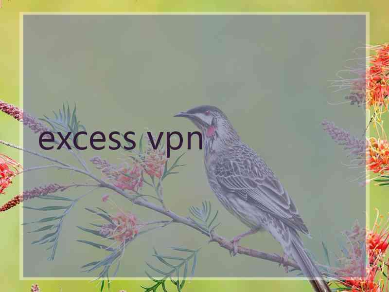 excess vpn