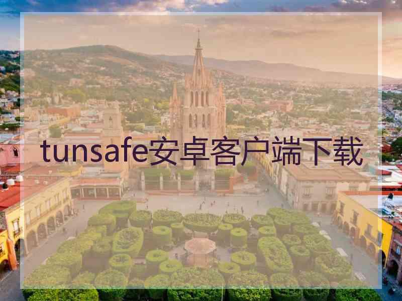 tunsafe安卓客户端下载
