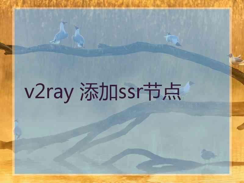 v2ray 添加ssr节点